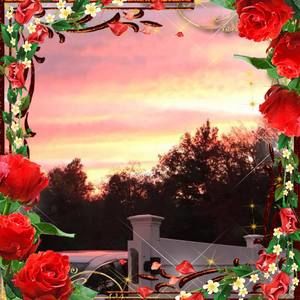 Meet your Posher, Bashir